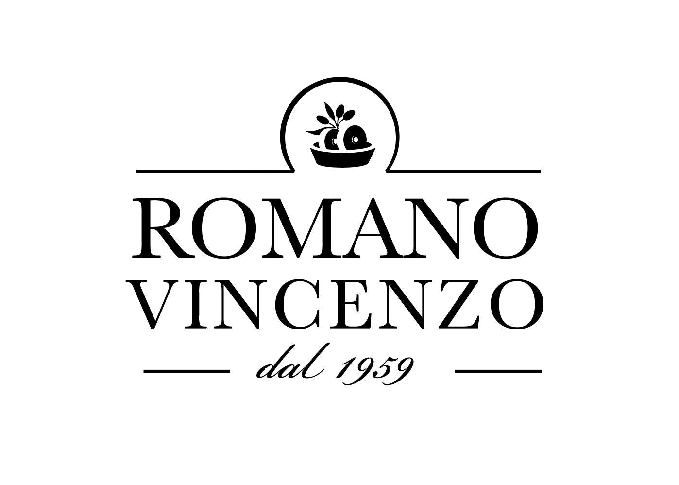 Logo romano vincenzo